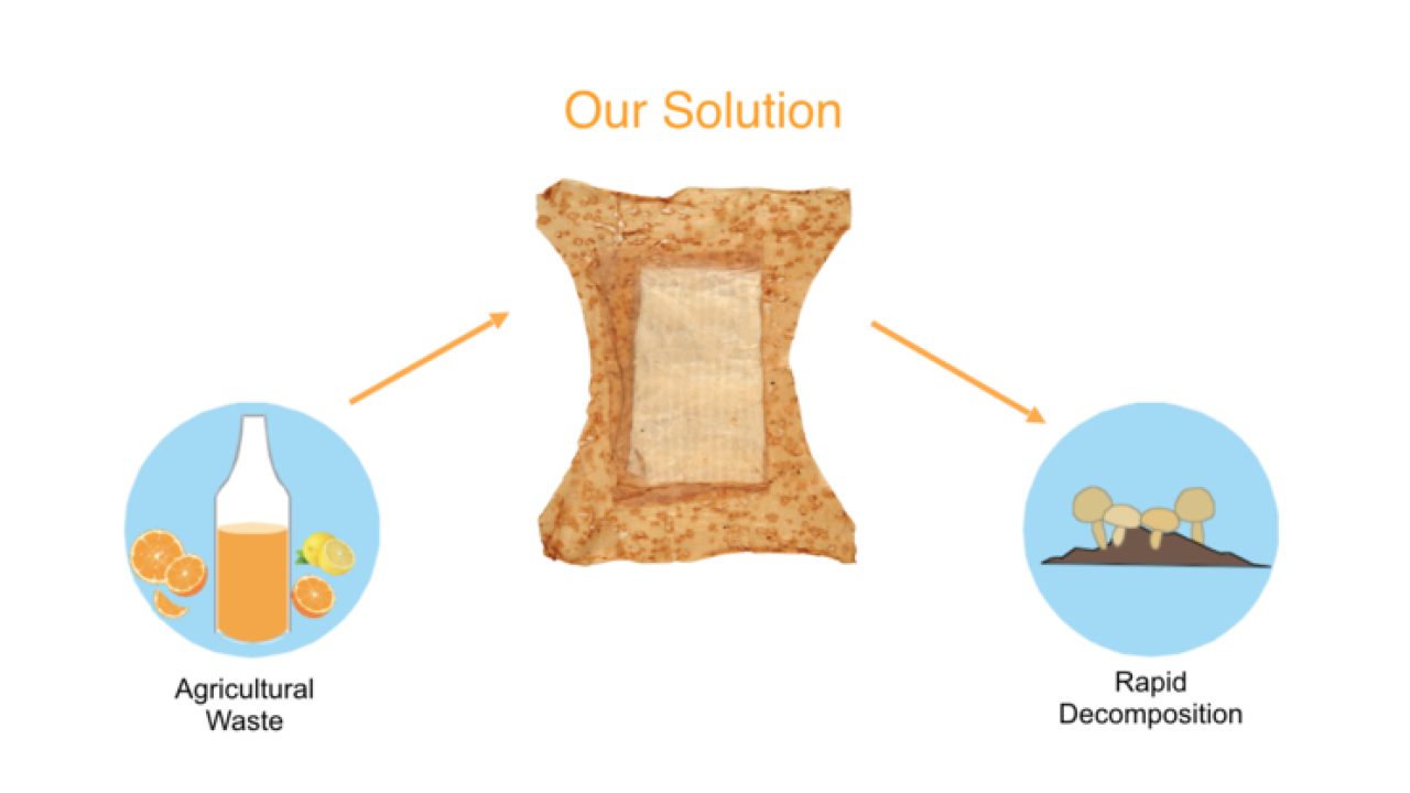 Sorbit is a fully biodegradable diaper made out of bacterial cellulose grown from citrus agricultural waste. The material is soft, water-repellant on the outside, and absorbent on the inside. Sorbti Diaper