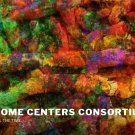 Microbiome Centers Consortium Logo